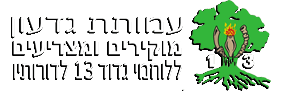 דף הבית - עמותת גדוד 13