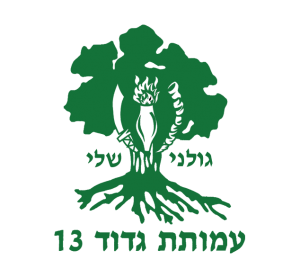 עמותת גדעון גולני גדוד 13