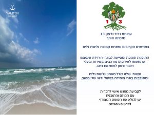 קבוצת גלישת גלים לבוגרי גדוד 13